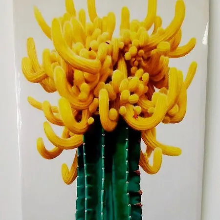Lejlighed Lanzamore Cactus, Sea View, Lanzarote Güime